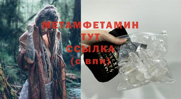 шишки Новокубанск