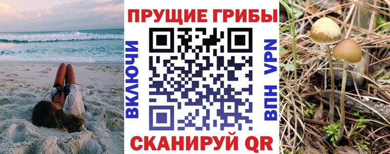 цены наркотик  Циолковский  blacksprut зеркало  Псилоцибиновые грибы мицелий 